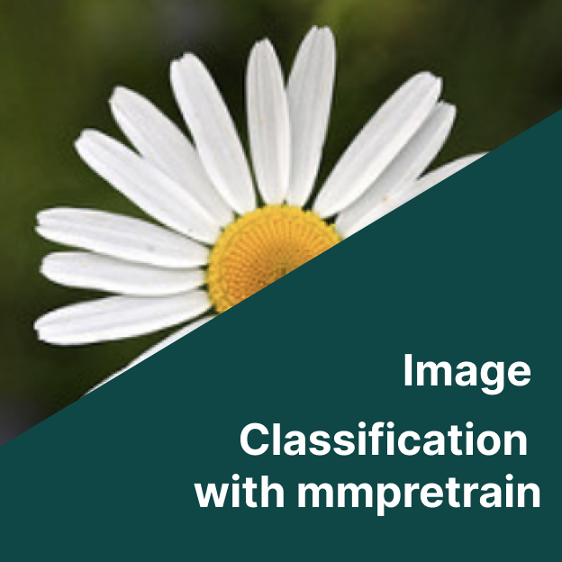 flower image